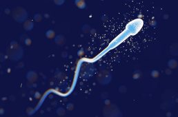 Спермограмма