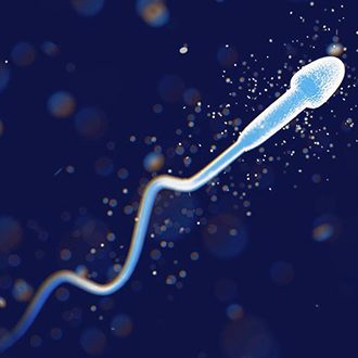 Що таке спермограма та як підготуватись до аналізу