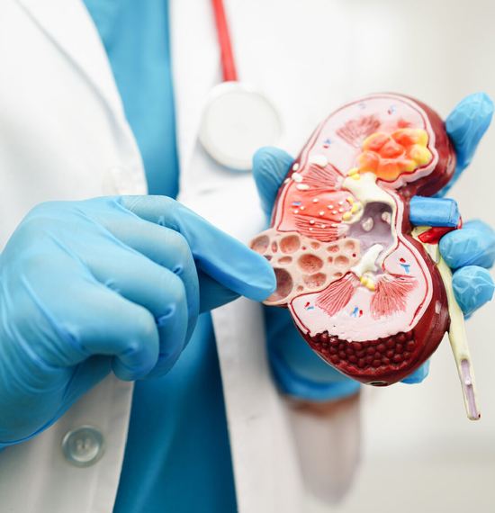 Лікар уролог поліклініки